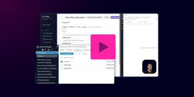 Agent-Enabled Patch Server Execution with Lifecycle Manager